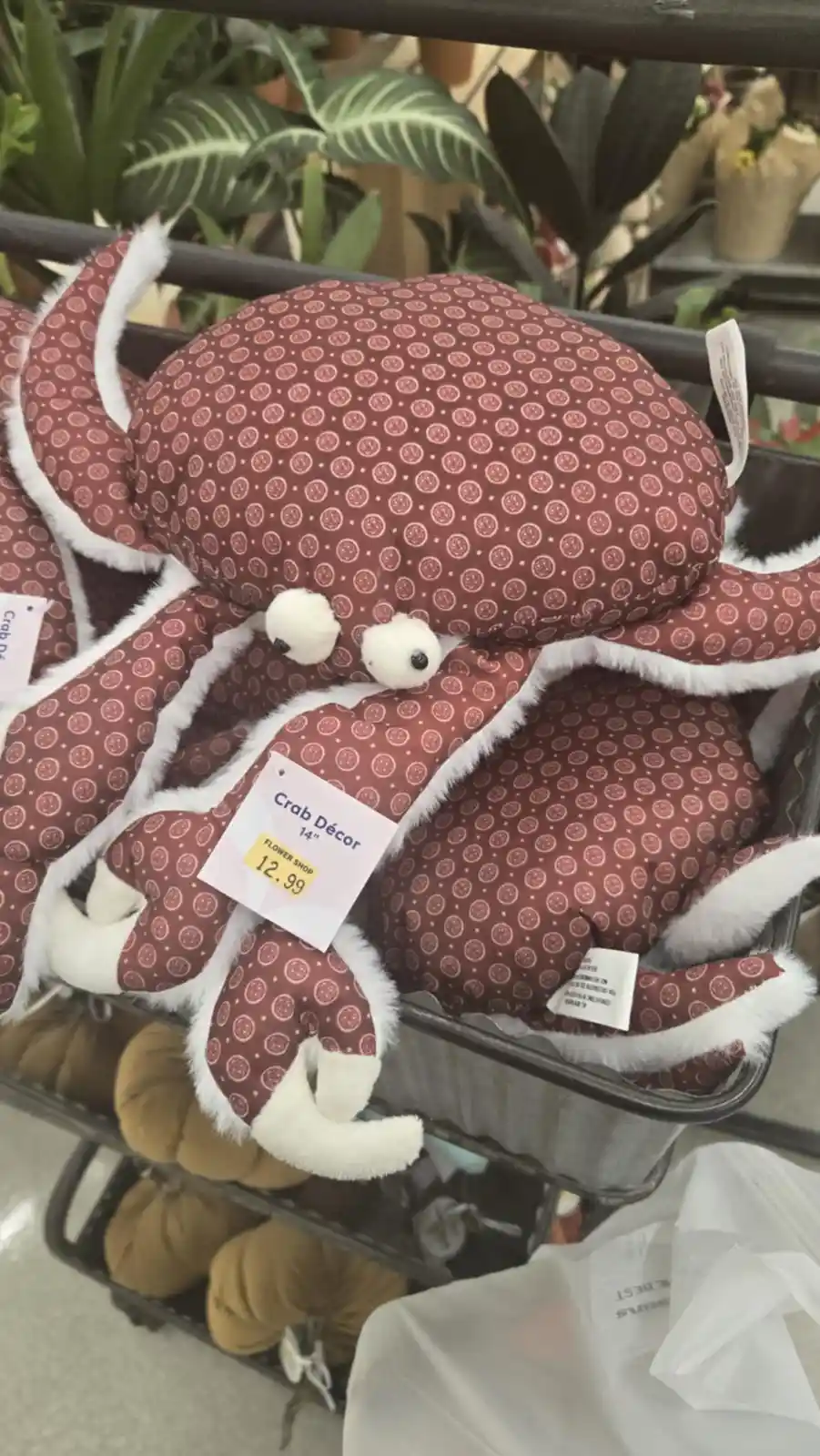 A plush, brown octopus-shaped decorative item with white fuzzy trim and googly eyes sits in a store display bin, labeled…