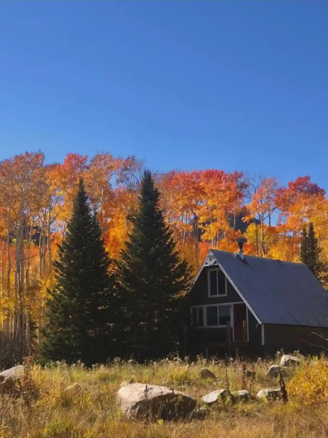 A picturesque A-frame cabin sits nestled among vibrant autumn trees with orange and yellow foliage under a clear blue sky…