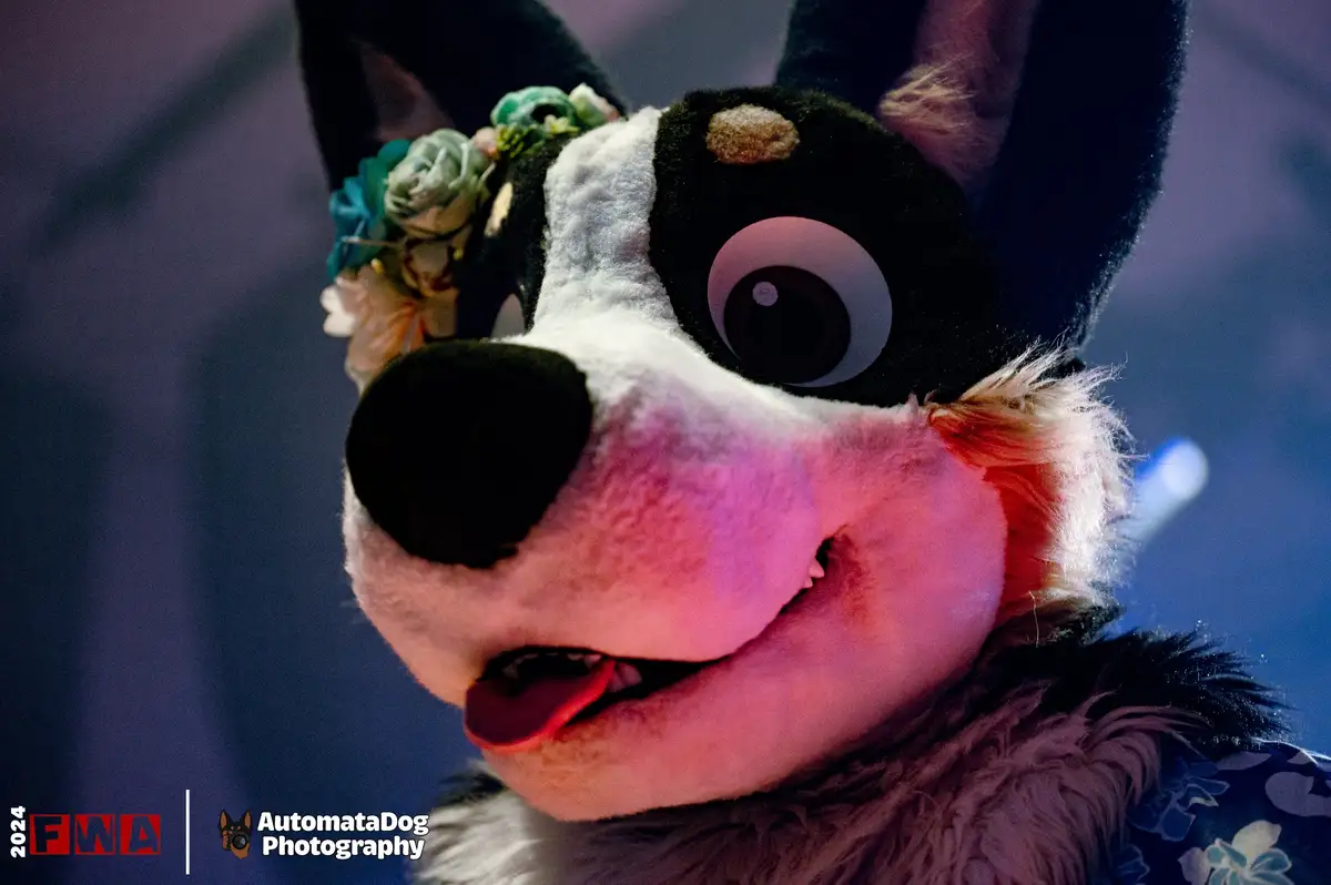 A close-up photo of a person in a black-and-white furry dog costume with large, cartoonish eyes, a black nose, and a smiling…