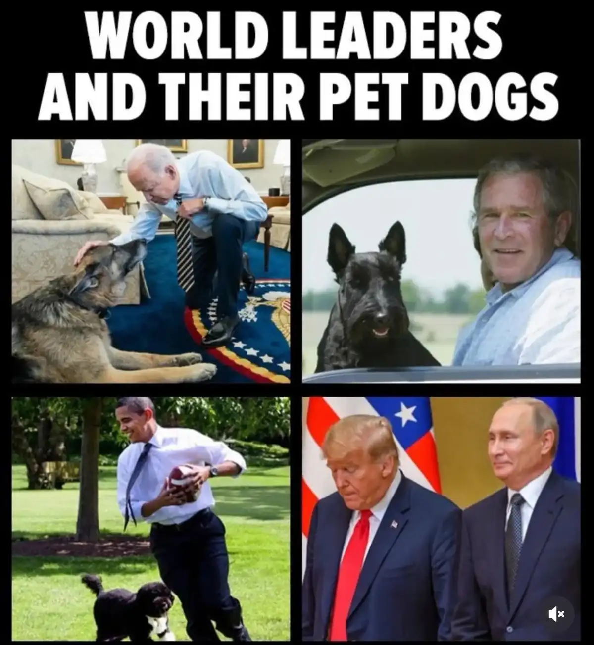 A four-panel meme titled 'WORLD LEADERS AND THEIR PET DOGS' shows Joe Biden petting a German Shepherd, George W. Bush with a…
