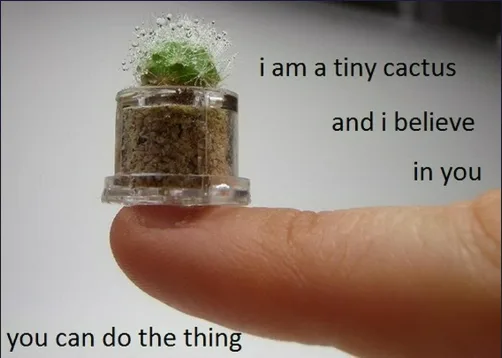 A tiny cactus in a clear glass container sits on the tip of a human finger. The text overlaid on the image reads 'i am a…