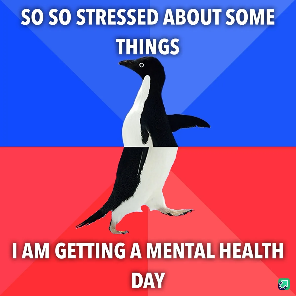A black-and-white penguin stands centered against a split background of blue and red, with white text overlaid. The top text…