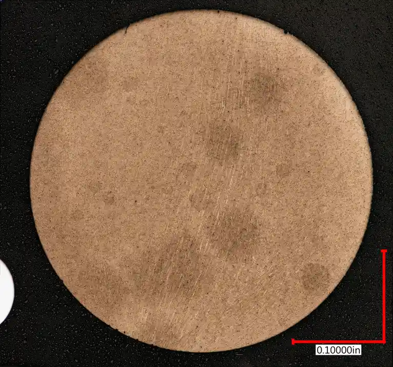 A microscopic image shows a circular, tan-colored object with fine scratches on a dark speckled background, with a red scale…