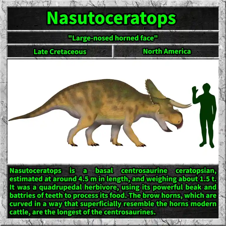 The image displays a digital illustration of the dinosaur Nasutoceratops, shown in profile next to a human silhouette for…