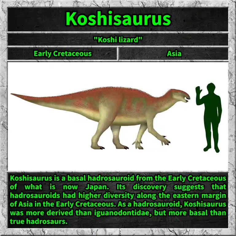 The image displays a digital illustration of a dinosaur named Koshisaurus, shown alongside a human silhouette for scale. The…