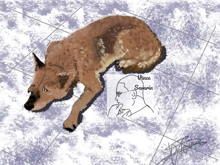 A digitally drawn brown wolf lies on a textured white and purple surface, appearing weary or defeated. Overlaid on the image…
