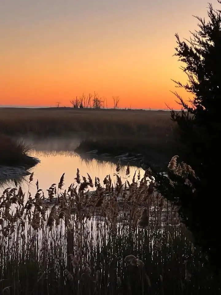 A serene sunset over a marsh with reeds in the foreground and mist over water, overlaid with the text 'i'm not lazy, i'm in…