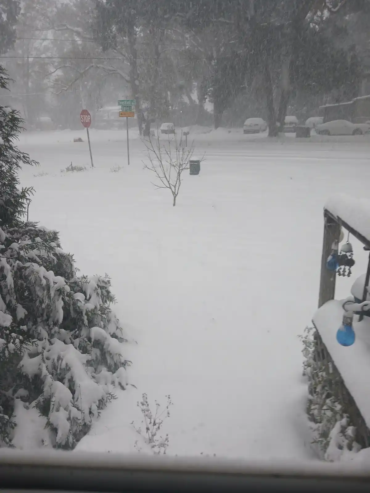 A heavy snowstorm blankets a residential street, obscuring visibility and covering cars, trees, and bushes in white. A red…