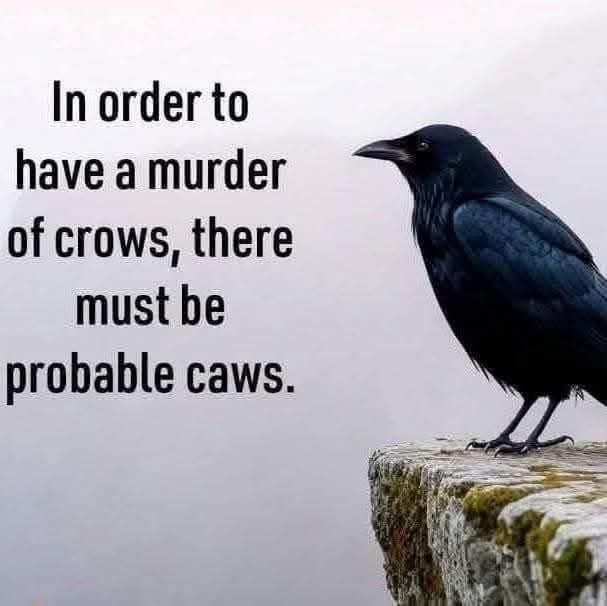 A single black crow perched on a mossy stone ledge against a hazy background. Overlaid text reads: 'In order to have a…