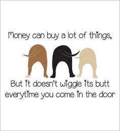 The image displays three stylized cartoon dog butts in brown, black, and beige, arranged side by side against a plain white…