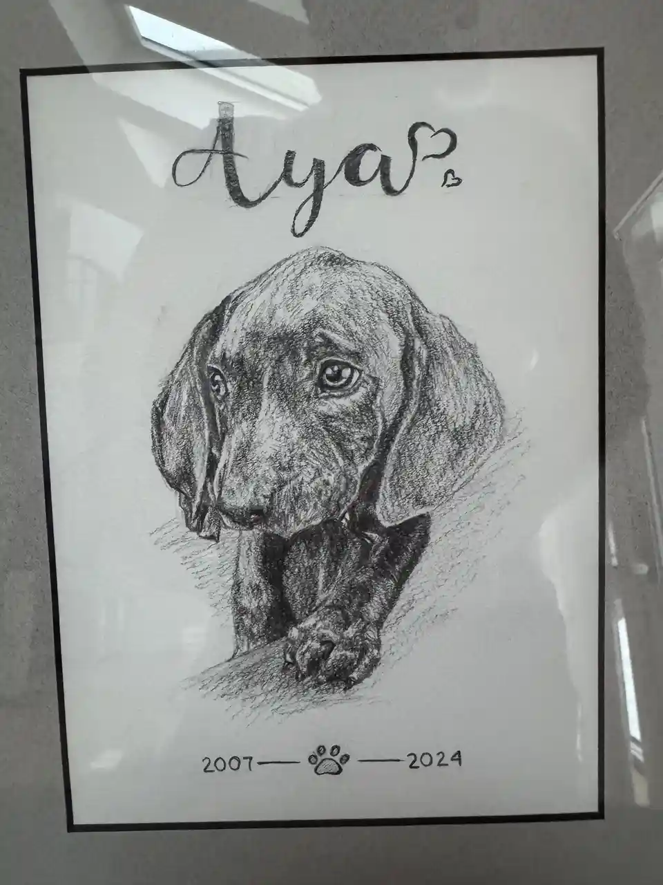 A framed black-and-white pencil sketch of a dachshund puppy with large, soulful eyes and floppy ears, looking forward. The…