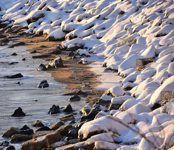 A snowy beach scene with rocks and driftwood covered in snow, a narrow strip of wet sand and water at the shoreline, and a…