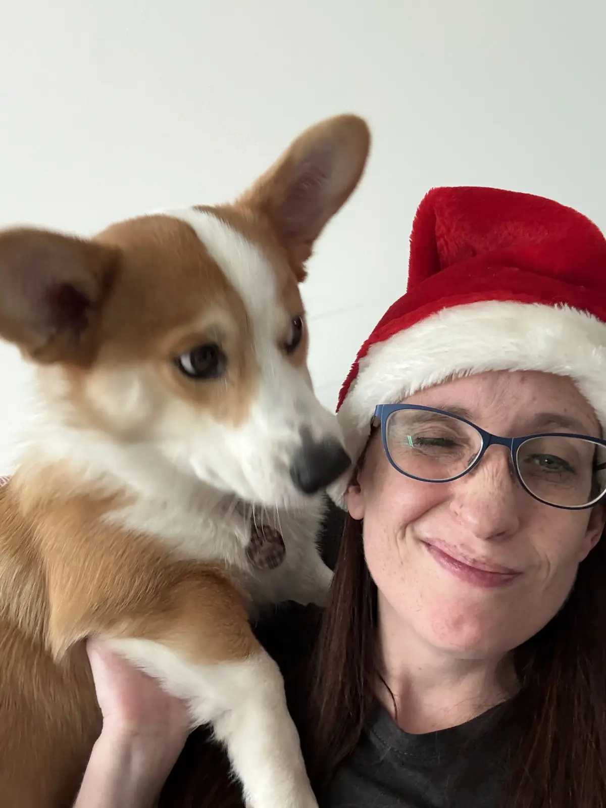 A person wearing a red Santa hat and glasses holds a tan and white corgi close to their face. The dog is nuzzling or licking…