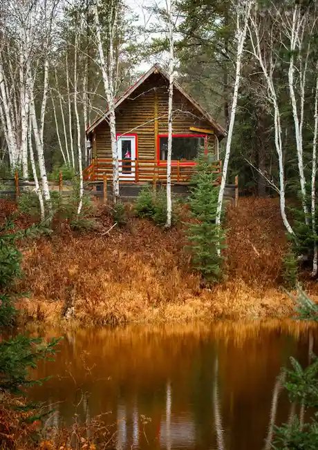 A rustic log cabin with red-trimmed windows sits on a wooden deck surrounded by birch trees and evergreens, overlooking a…