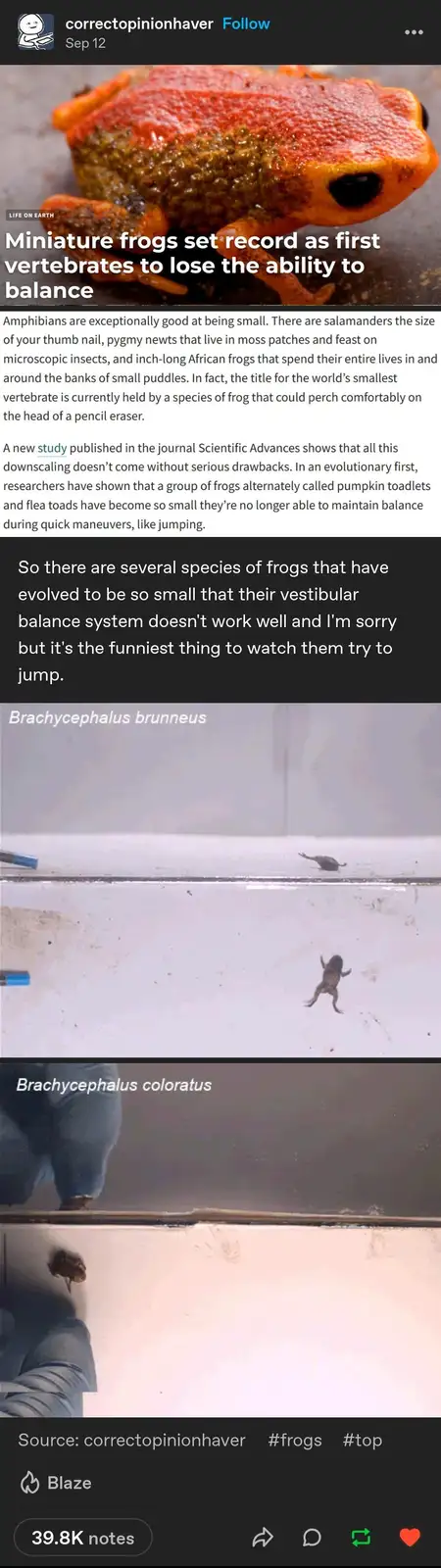 The image is a collage featuring a close-up photo of a colorful frog, followed by text describing a scientific study about…