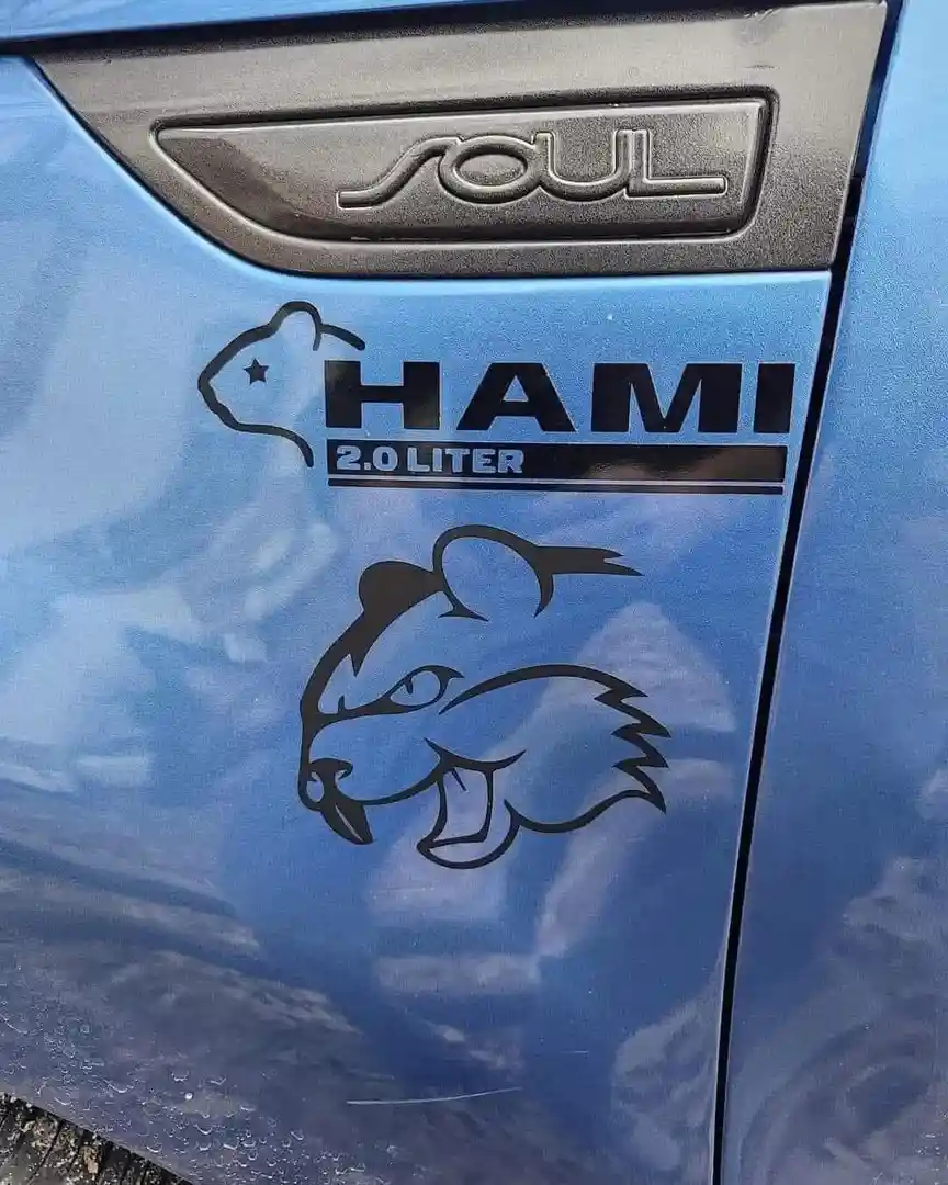 A close-up of a blue car door shows the 'SOUL' model name above two custom decals: one is a stylized hamster with a star on…