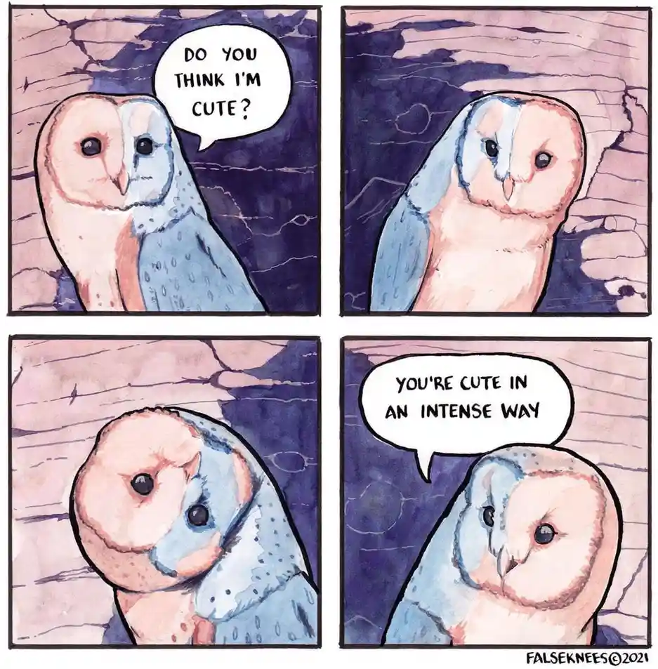 A four-panel comic strip featuring a barn owl asking if it's cute, then receiving a blunt, intense response. The owl's…