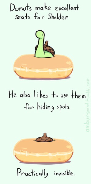 A cartoon turtle with a brown shell sits atop a glazed donut, with text above reading 'Donuts make excellent seats for…