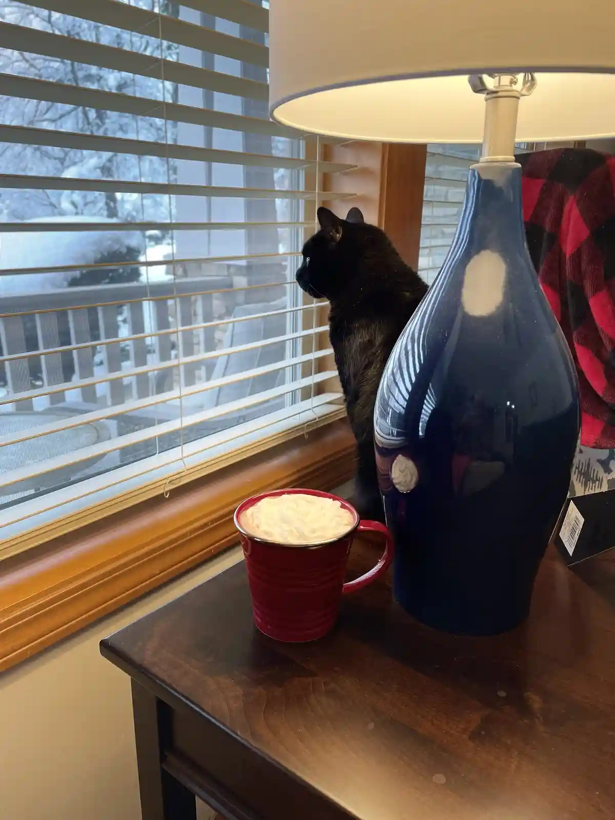 A black cat sits on a wooden table beside a red mug with whipped cream and a blue lamp, looking out a window with blinds…