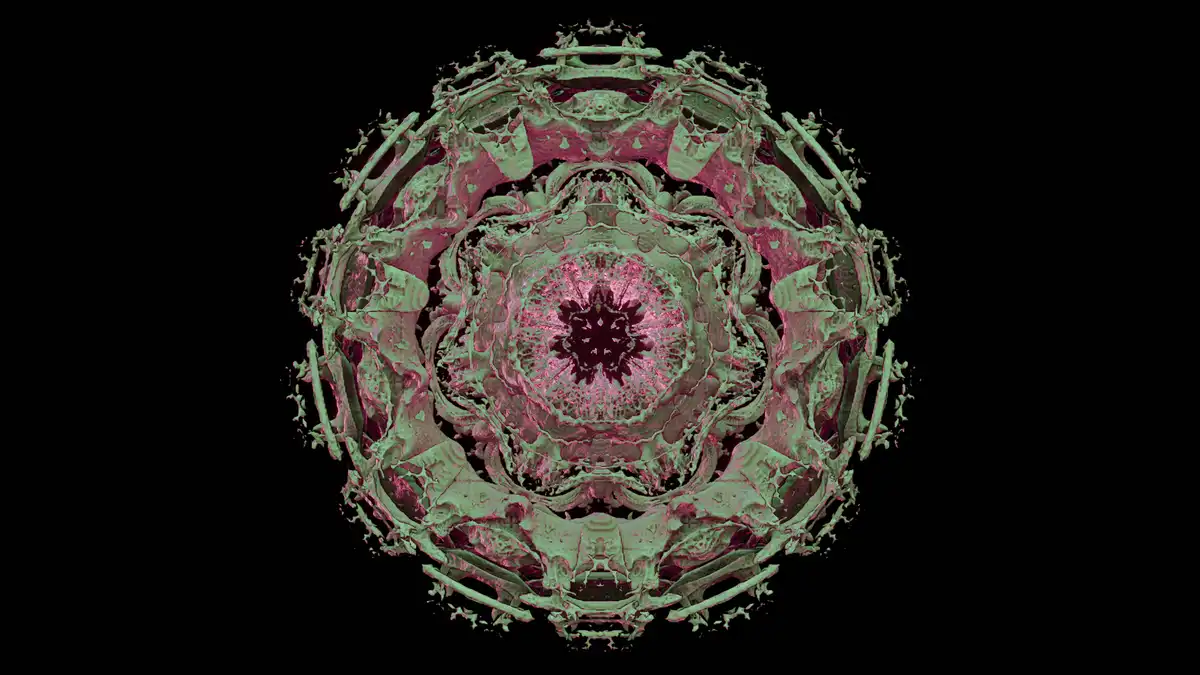 Exploring the Intricate Mandelbulb Fractal Shapes