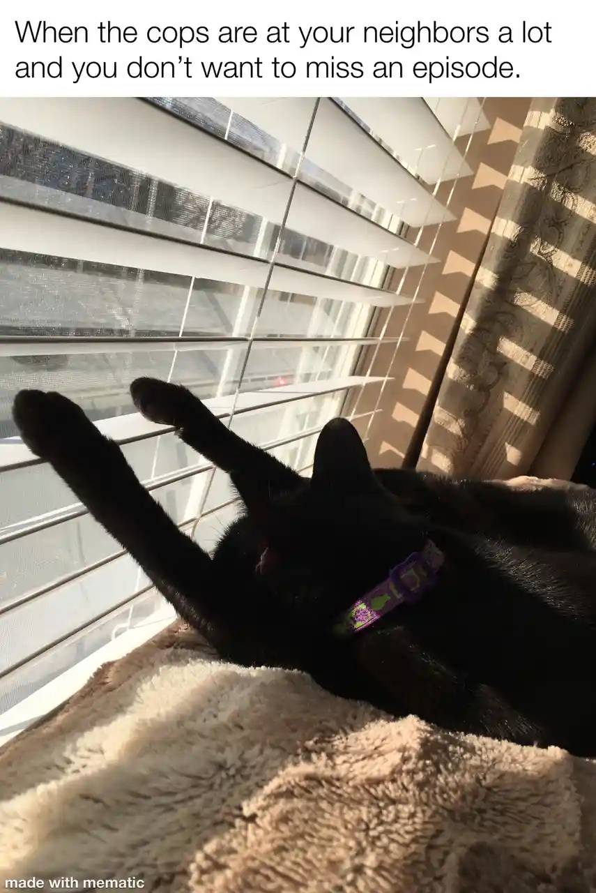 A black cat with a purple collar lies on a fluffy beige blanket, stretching its front paws upward through the slats of white…