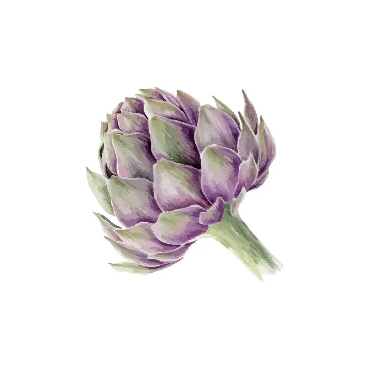 A watercolor-style illustration of a purple artichoke with green stem against a plain white background, overlaid with the…
