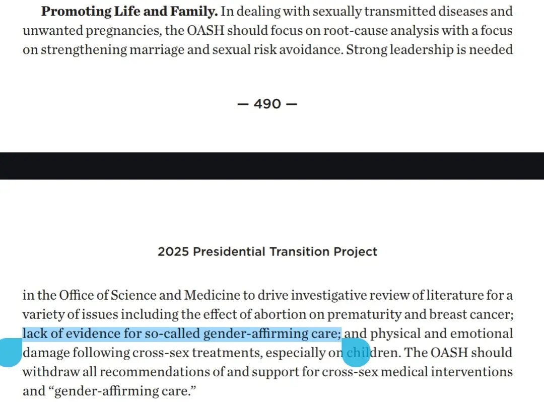 Exploring mentions of transgender, cross-sex, and hormone topics in Project 2025