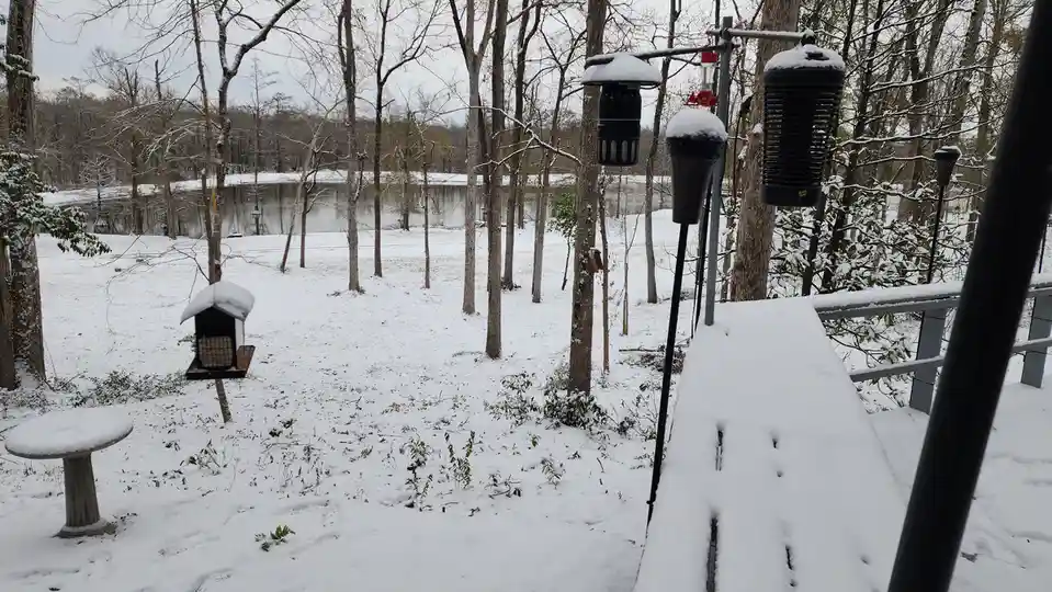 A snowy backyard scene with a snow-covered deck, bird feeders, and a small table, all blanketed in fresh snow, with bare…