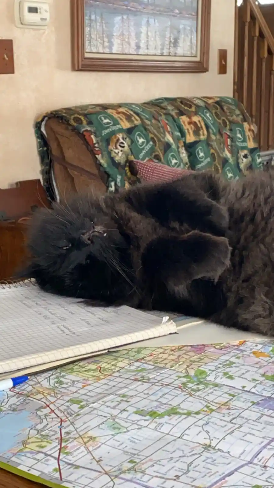 A fluffy black cat lies sprawled on its back atop a notebook and a city map, appearing deeply relaxed or asleep. The cat's…