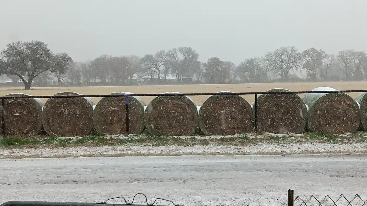 A row of large, round hay bales sits behind a fence in a snowy field, with snow falling and covering the ground and bales…