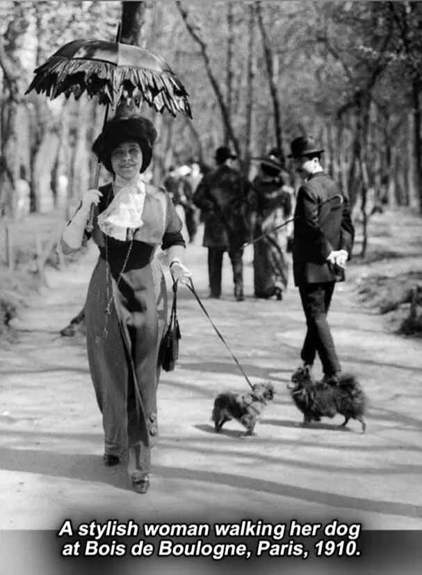 A black-and-white photograph from 1910 shows a stylish woman in period attire walking two small dogs on leashes in a park…