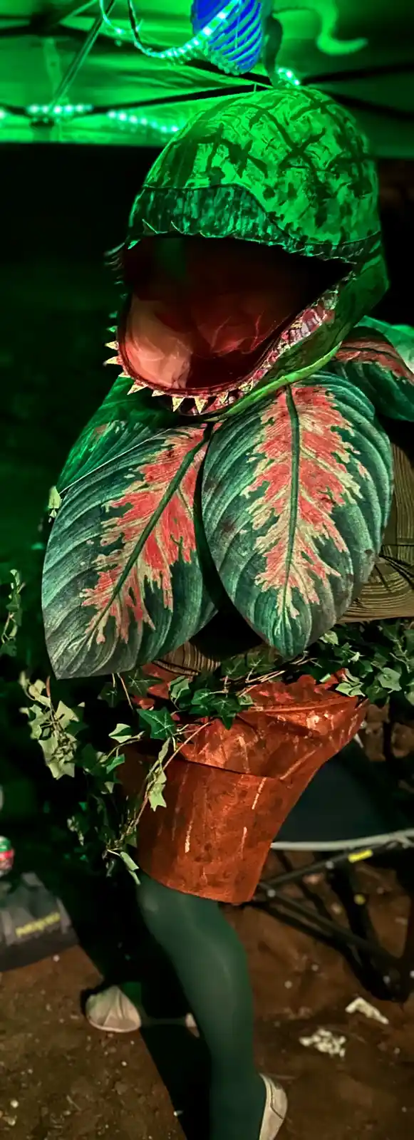 A person wearing a full-body costume resembling a carnivorous plant, with a large leafy hood that has a gaping mouth with…