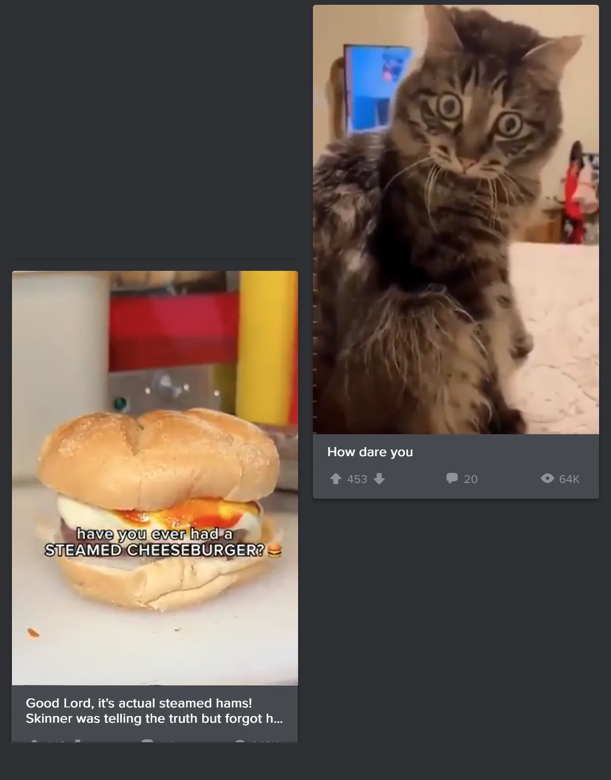 The image displays a split-screen meme. On the left, a close-up of a cheeseburger with text overlay asking 'have you ever…