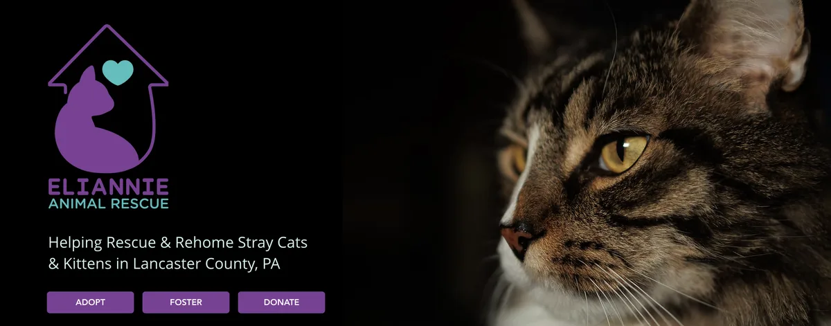 A promotional image for Eliannie Animal Rescue features a close-up of a tabby cat's face on the right, with the…