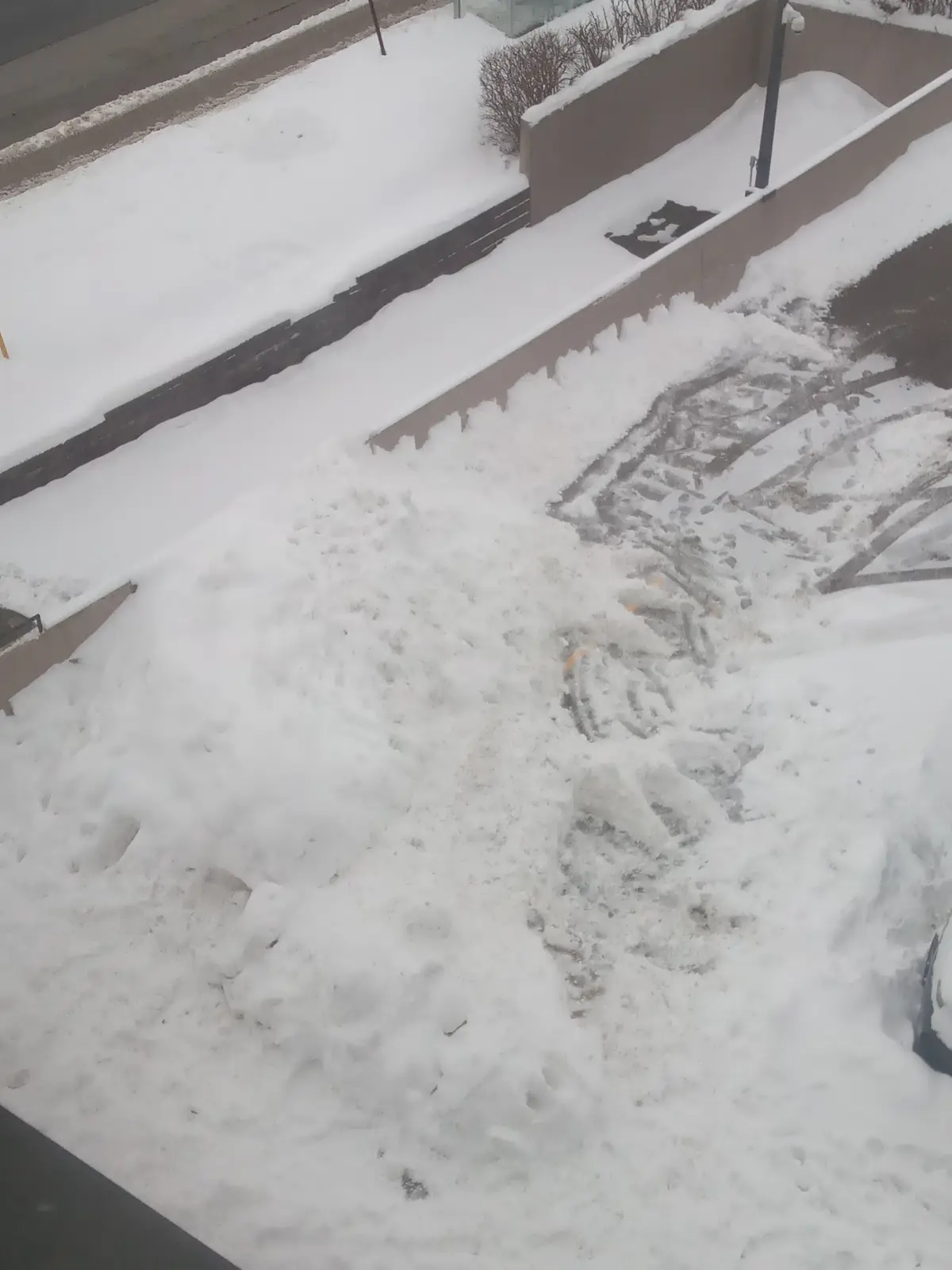 Spent the day playing in the snow solo, but Mr. Plow was my trusty sidekick!