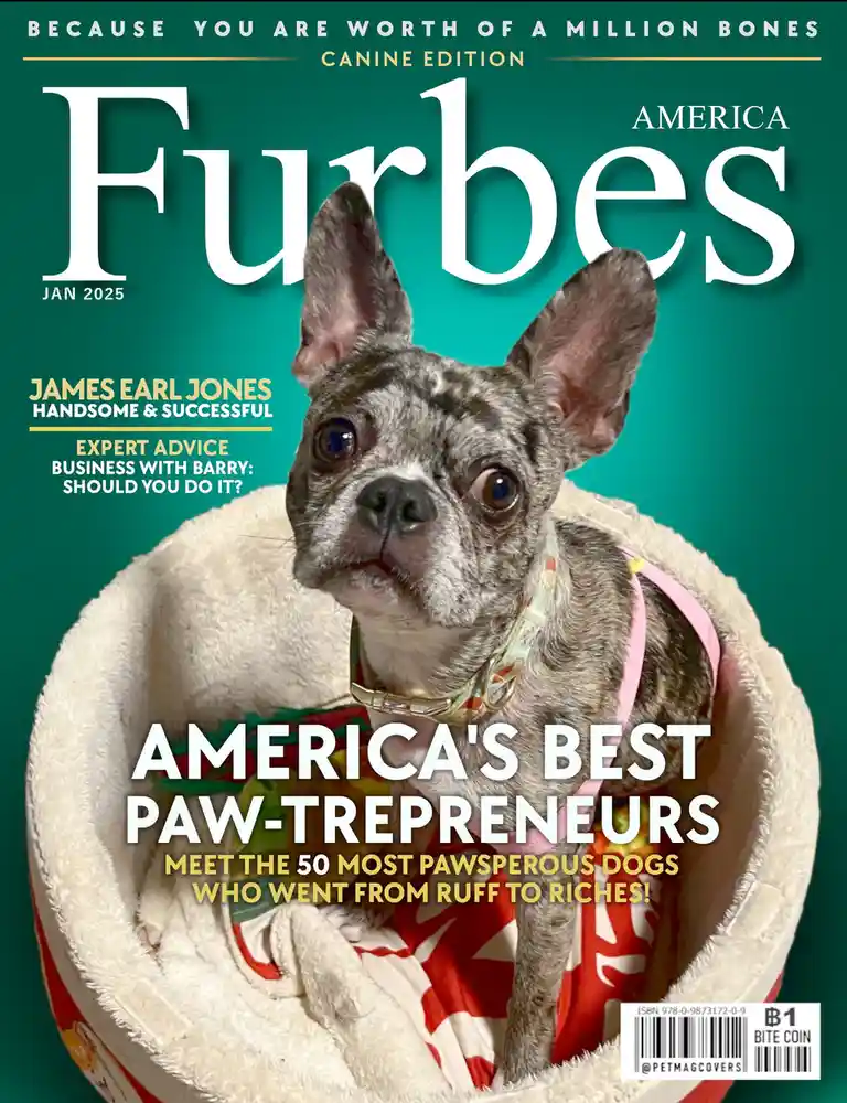 The image is a parody magazine cover mimicking 'Forbes' titled 'Furbes' with a French bulldog in a pet bed as the main…