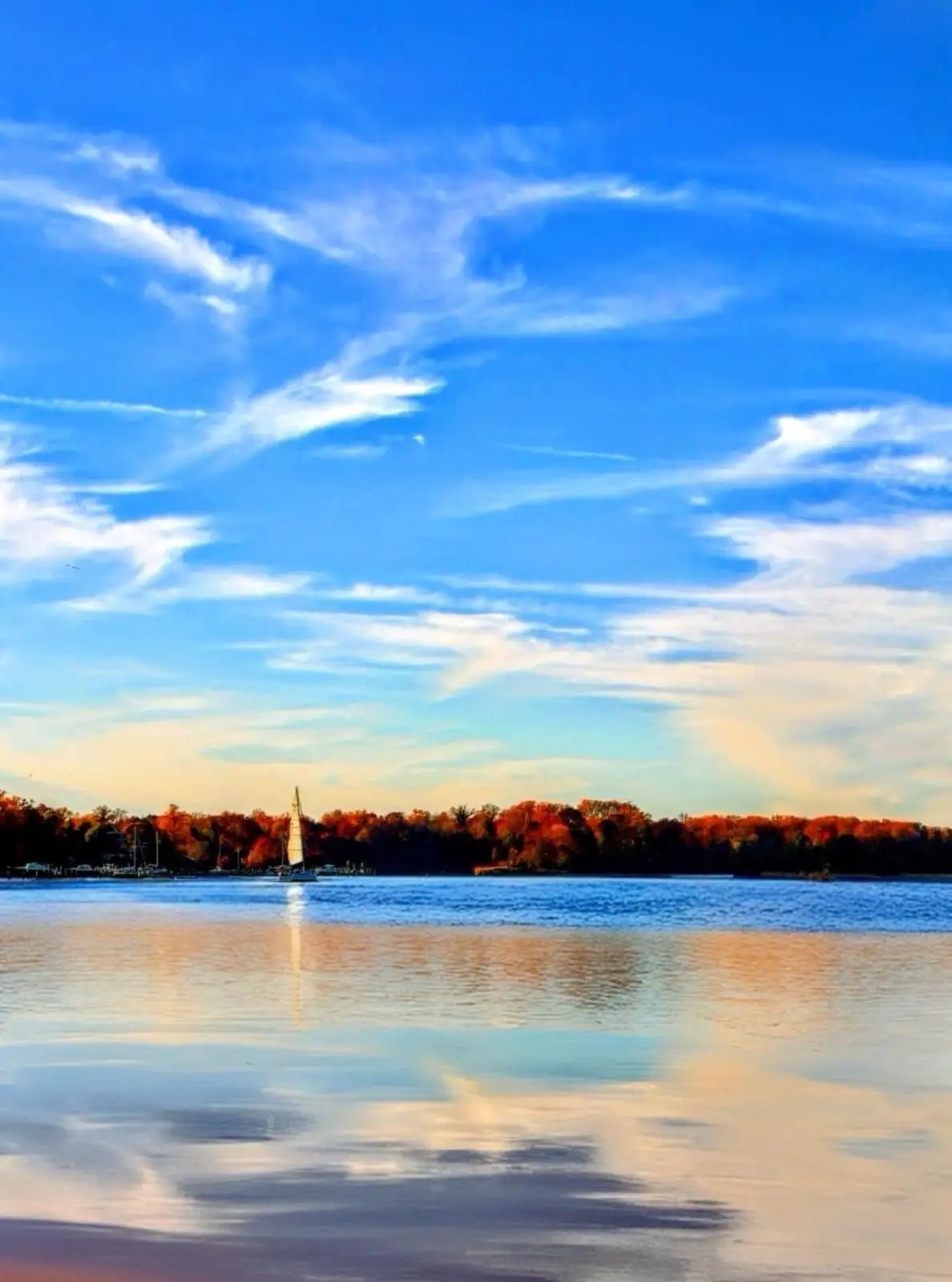 A serene landscape photo shows a sailboat on calm water with a vibrant blue sky and wispy clouds above, and autumn-colored…