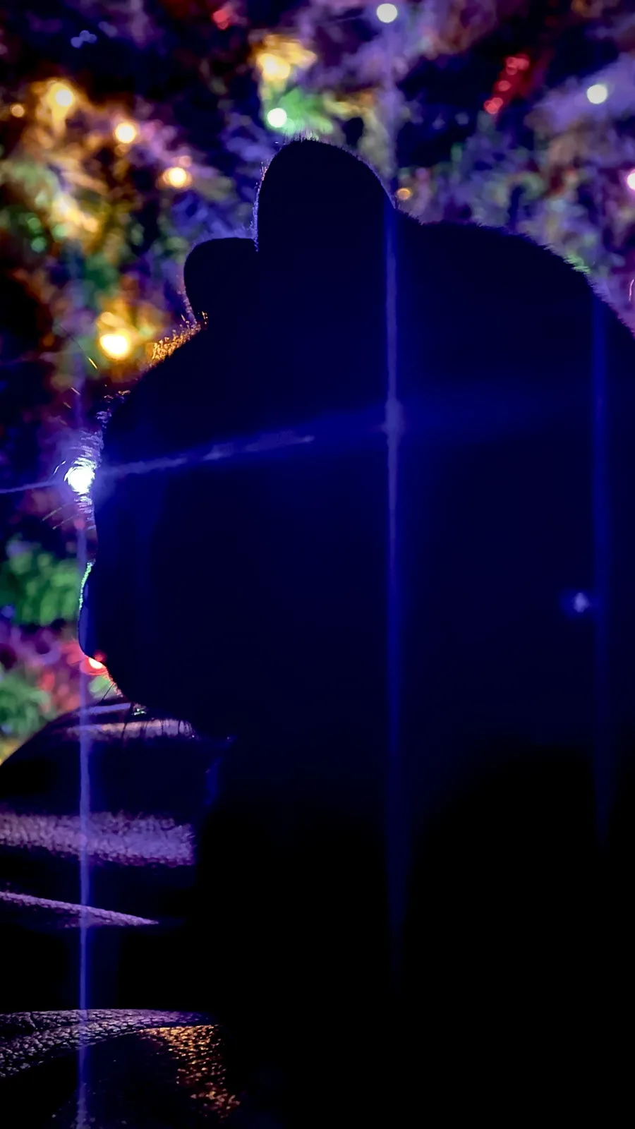 A silhouette of a person in profile, viewed from behind, against a backdrop of colorful, blurred string lights at night. The…
