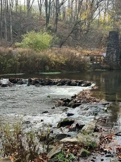 A Serene Day by the Creek