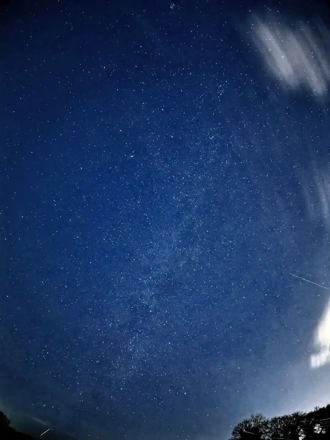 A wide-angle night sky photo filled with countless stars and faint clouds, with tree silhouettes at the bottom. Overlaid…