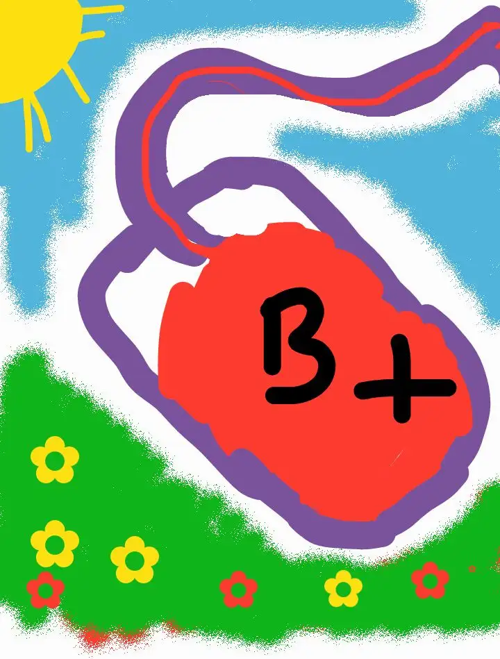 A childlike drawing shows a red, irregularly shaped object with 'B+' written in black inside, outlined in purple, against a…