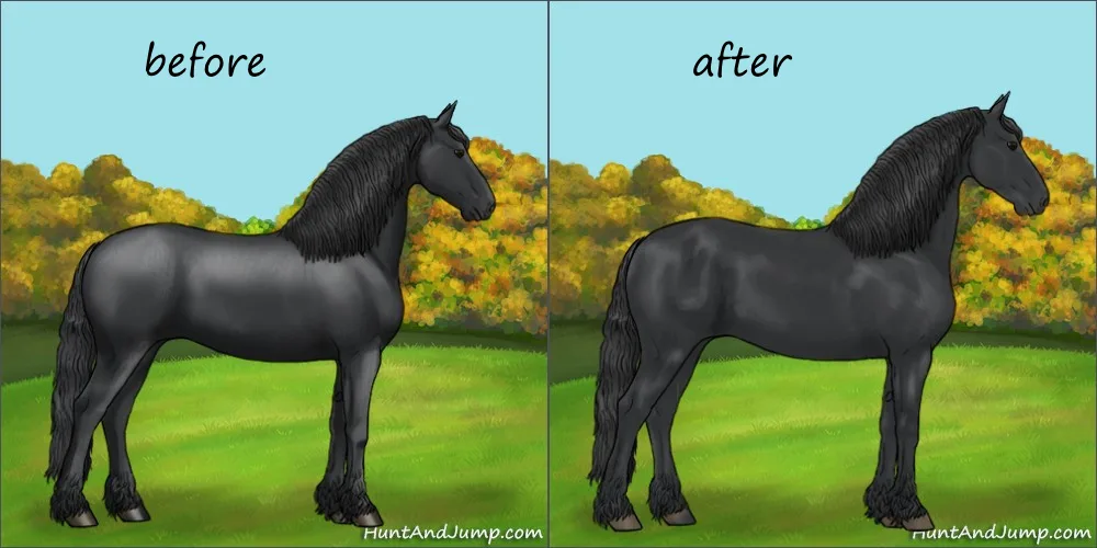The image displays two side-by-side illustrations of a black horse standing in a grassy field with autumn-colored trees in…