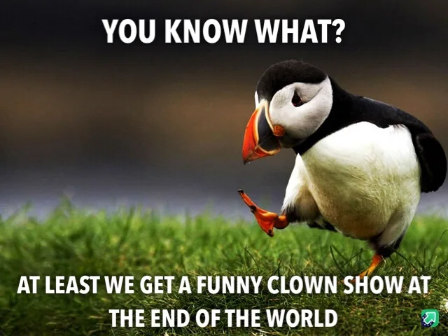 A puffin stands on green grass, looking sideways with one foot lifted, as if mid-step. White bold text at the top reads 'YOU…