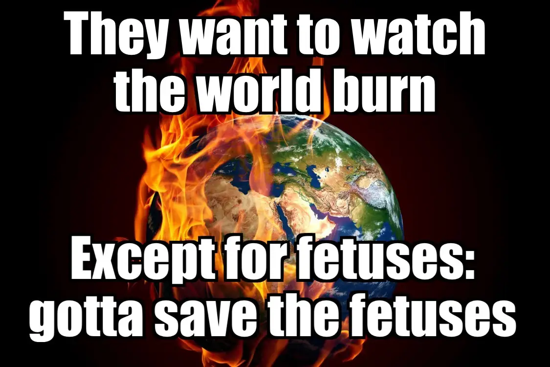 A fiery image of the Earth with text overlaid that reads 'They want to watch the world burn' and 'Except for fetuses: gotta…