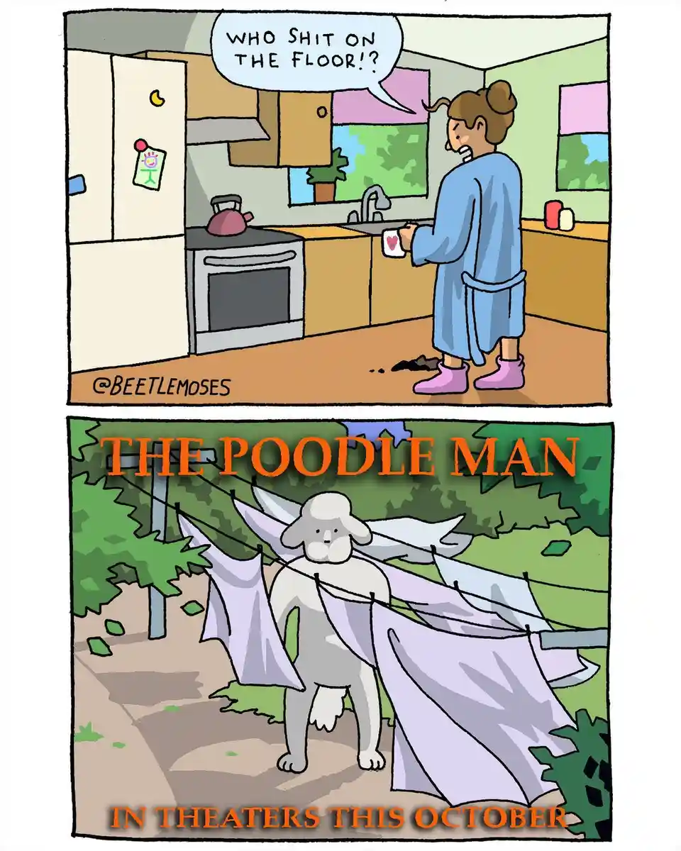 A two-panel comic: top panel shows a woman in a blue robe and pink slippers in a kitchen, yelling 'WHO SHIT ON THE FLOOR!?'…