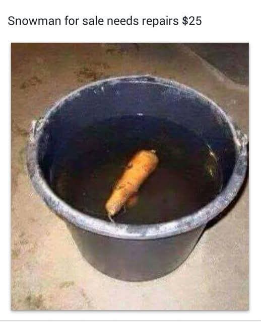 A single orange carrot, resembling a snowman's nose, floats in murky water inside a black plastic bucket. The overlaid text…