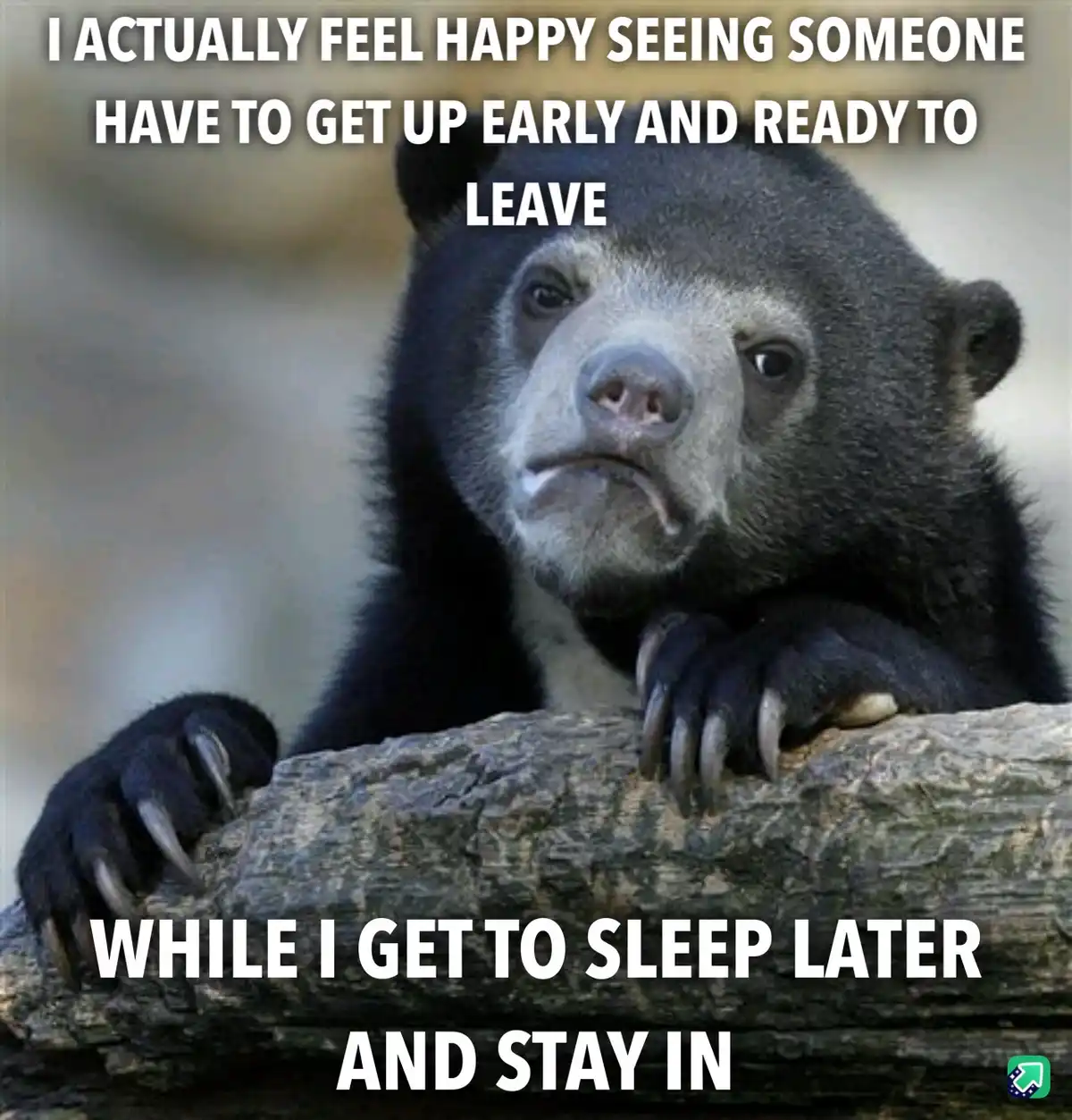 A close-up photo of a sloth bear with a smug, self-satisfied expression, resting its paws on a log. White bold text is…