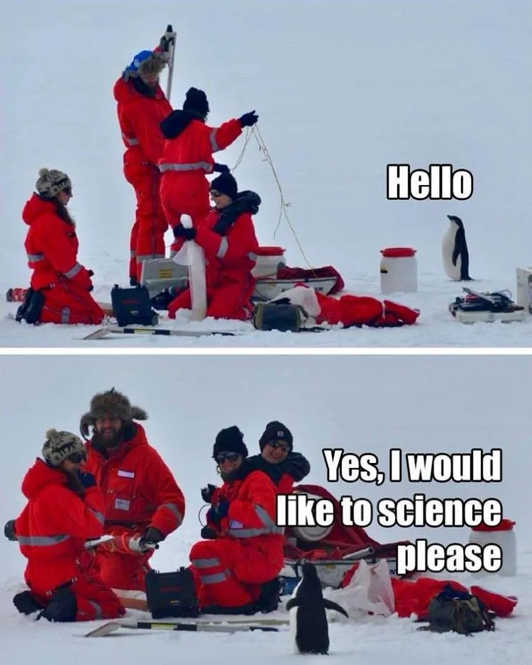 Two panels show scientists in red winter gear on snowy ground. In the top panel, a penguin stands near them as text says…