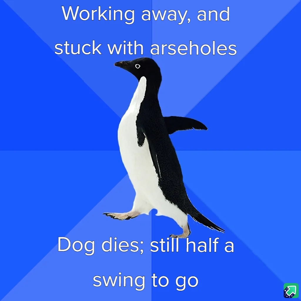 A black-and-white penguin walks forward against a blue geometric background. White text at the top reads 'Working away, and…