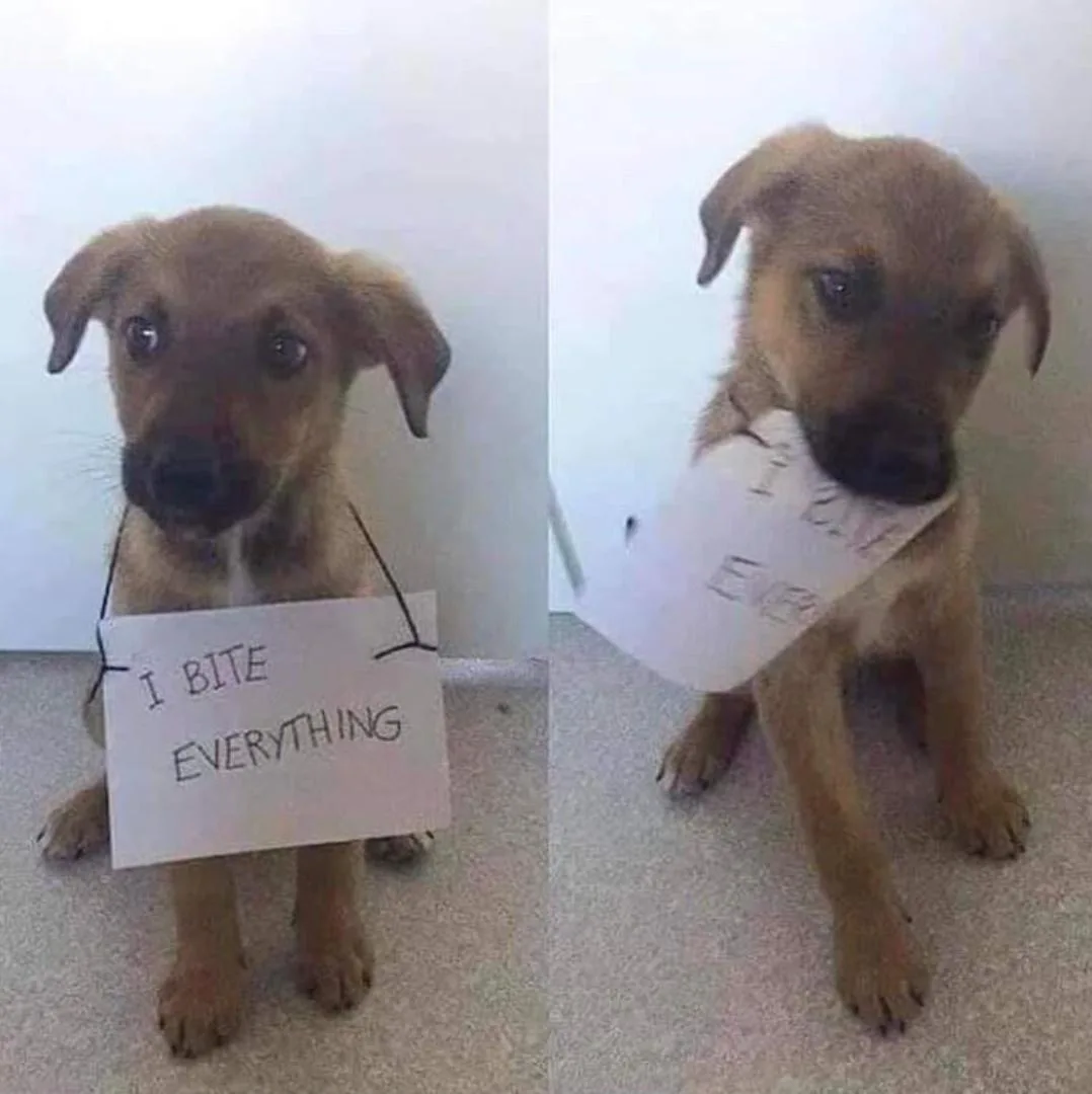 We Were Given a Warning, After All